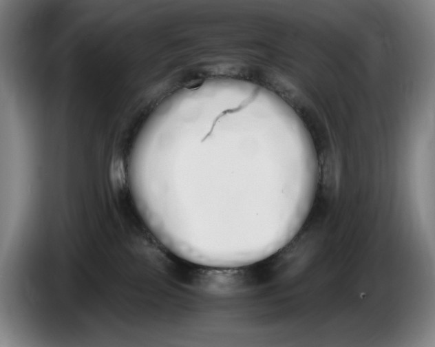X0000086340089200704202109