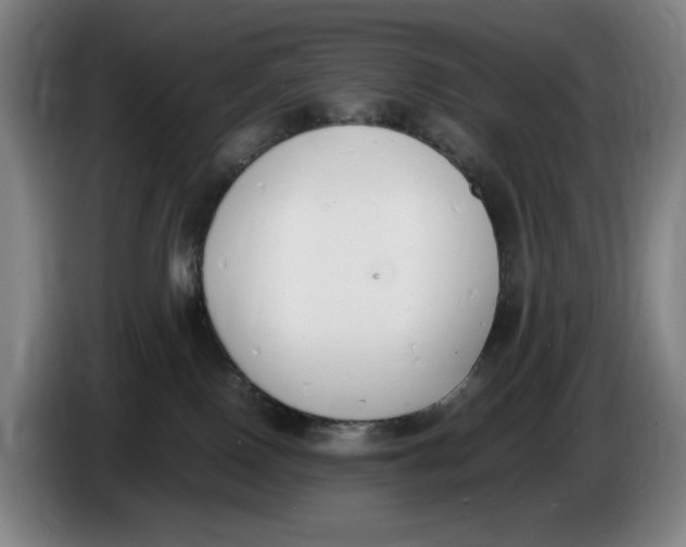 X0000086340090200704202109