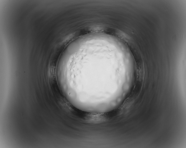 X0000086340093200704202110