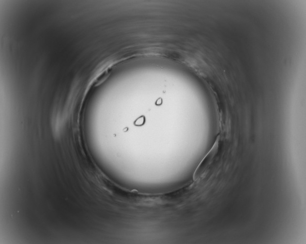X0000086340099200704202109