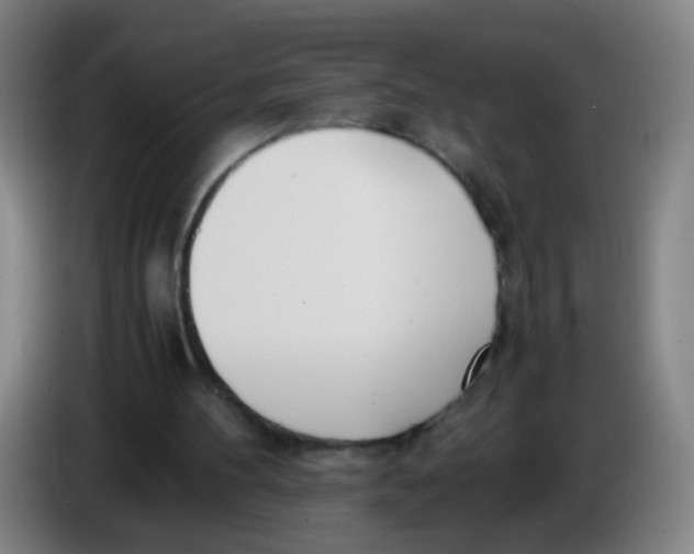 X0000086340100200704202109