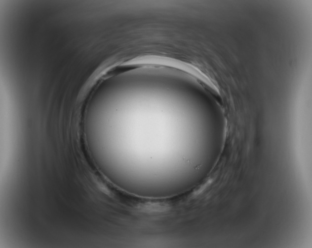 X0000086340101200704202109