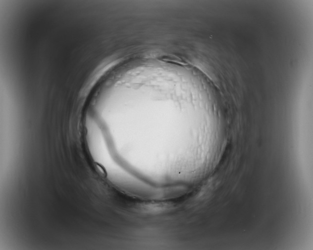 X0000086340103200704202109