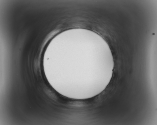 X0000086340104200704202109