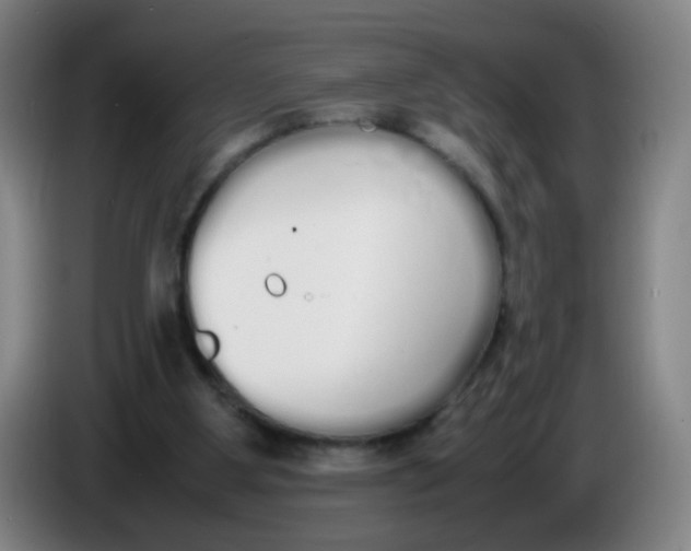 X0000086340107200704202109