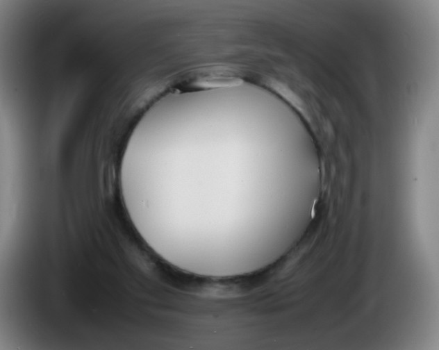 X0000086340109200704202109
