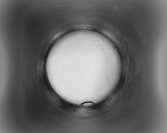 X0000086340111200704202109