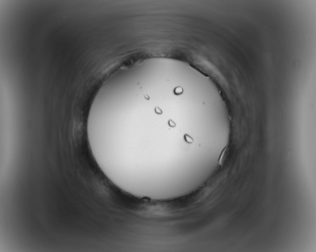 X0000086340113200704202109