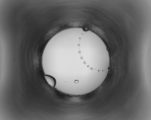 X0000086340114200704202109