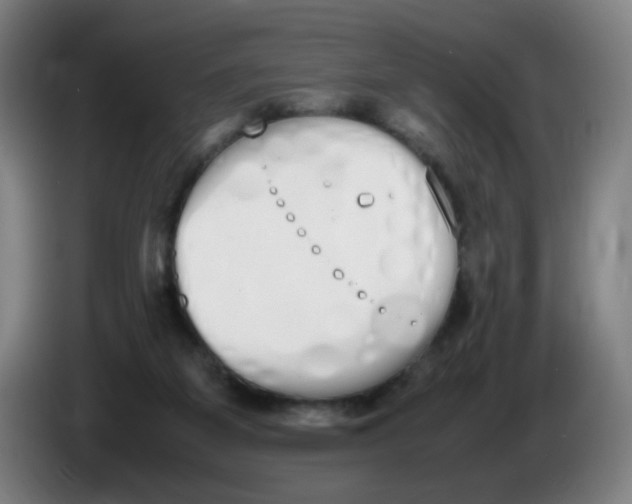 X0000086340115200704202109