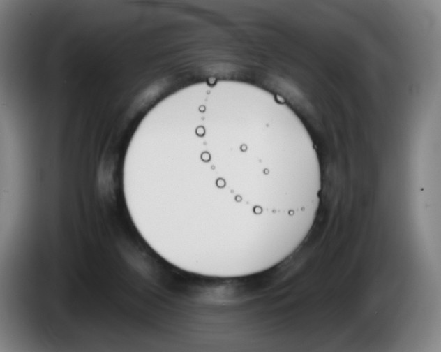 X0000086340116200704202109