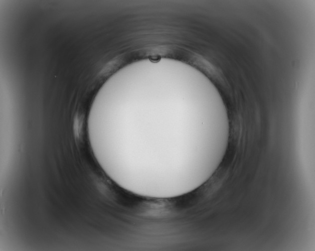 X0000086340118200704202109