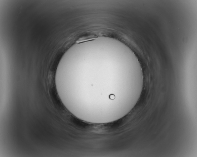 X0000086340121200704202109