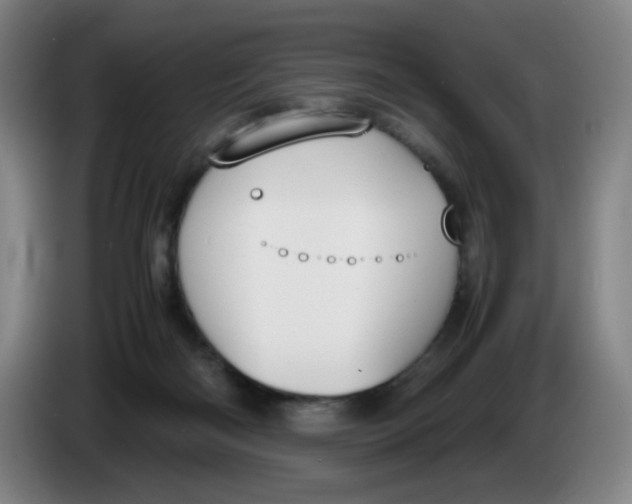 X0000086340122200704202109
