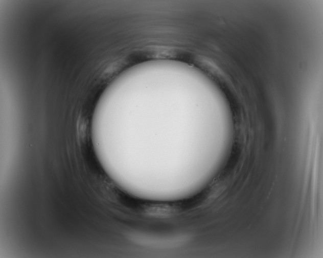 X0000086340123200704202109