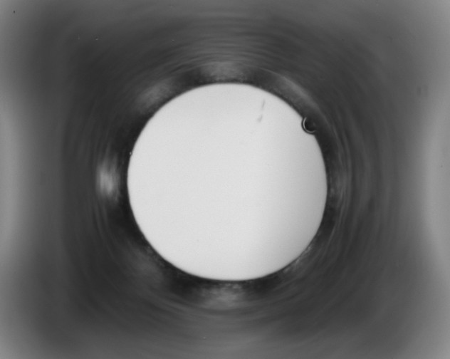 X0000086340124200704202109