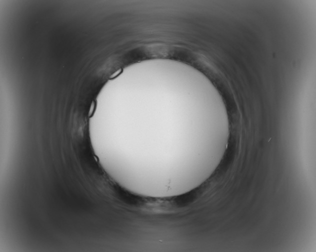 X0000086340125200704202109