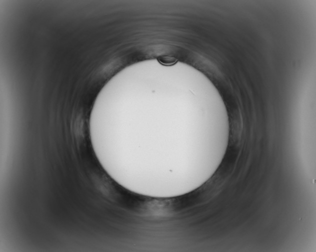 X0000086340126200704202109