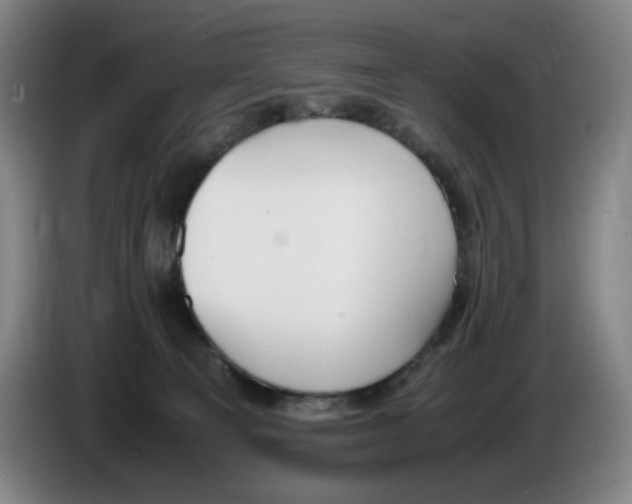X0000086340129200704202109