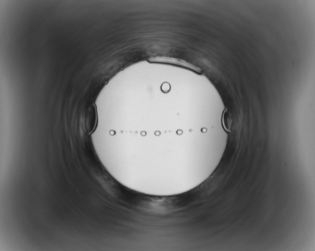 X0000086340130200704202109