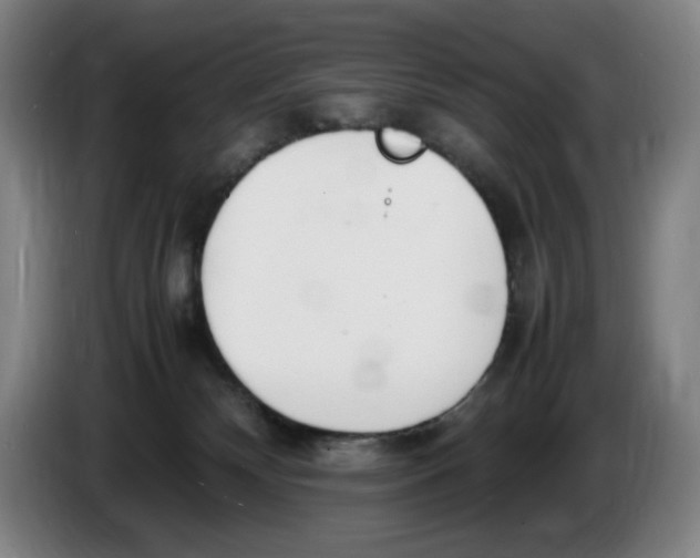 X0000086340132200704202109