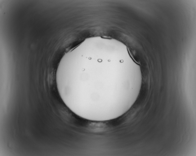 X0000086340133200704202109