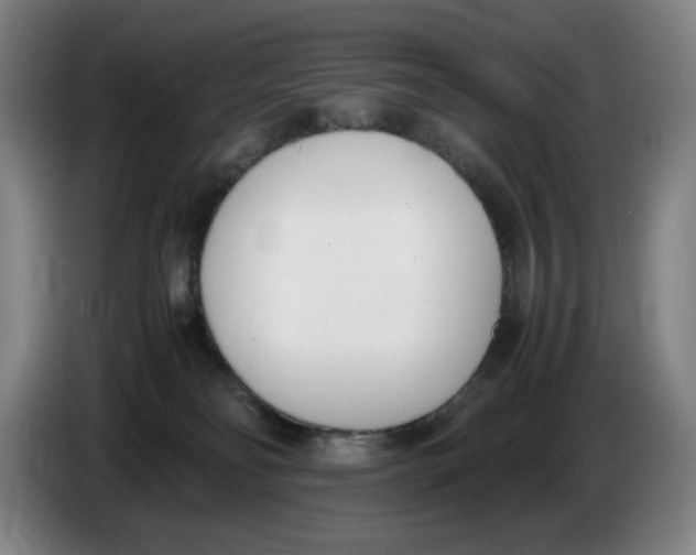 X0000086340134200704202108
