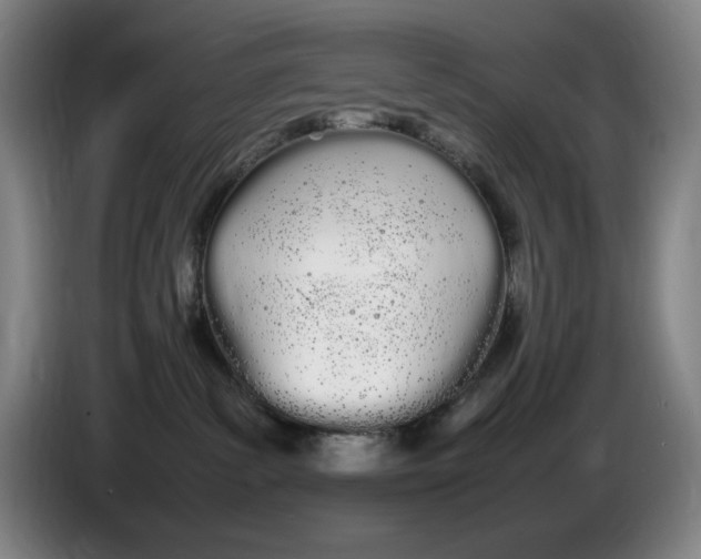 X0000086340139200704202108