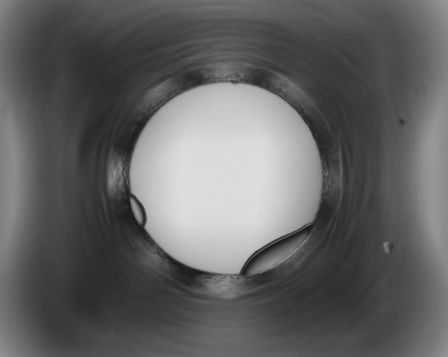 X0000086340142200704202108