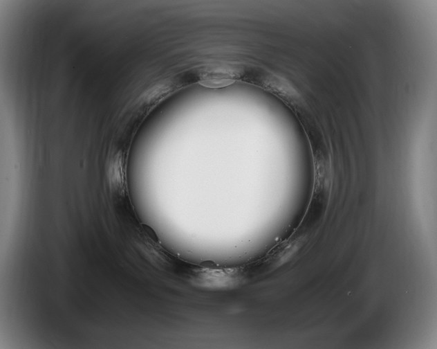 X0000086340143200704202108
