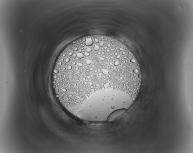 X0000086340145200704202108