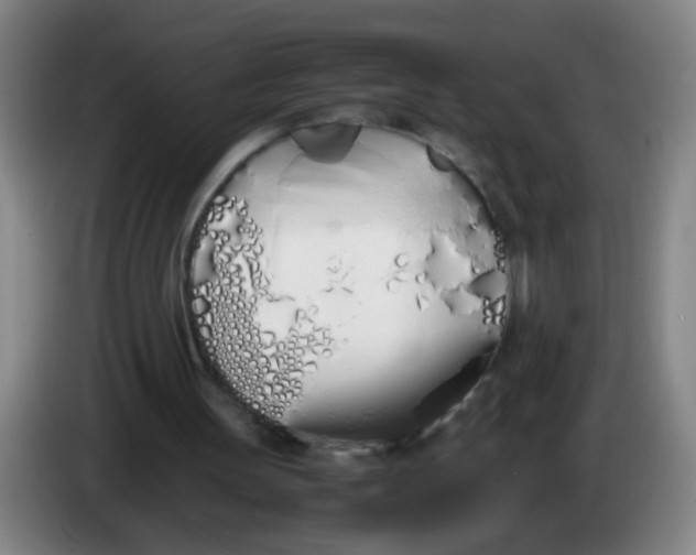 X0000086340147200704202108