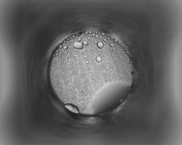 X0000086340151200704202108