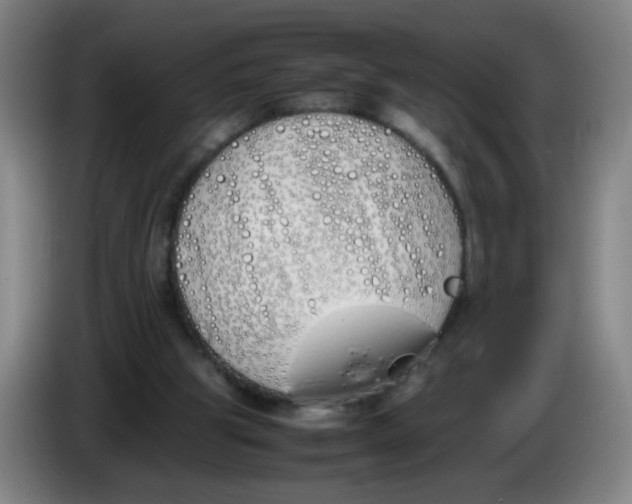 X0000086340153200704202108