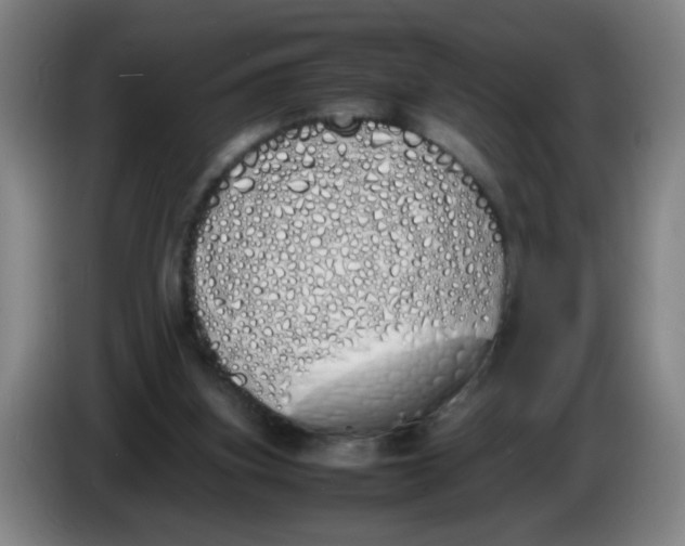 X0000086340155200704202108