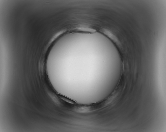 X0000086340156200704202108