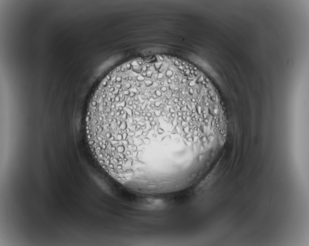 X0000086340159200704202108