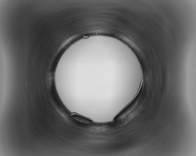 X0000086340160200704202108