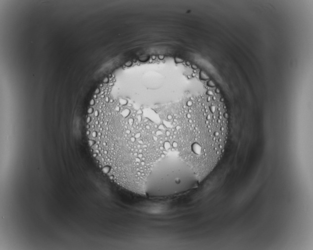 X0000086340161200704202108