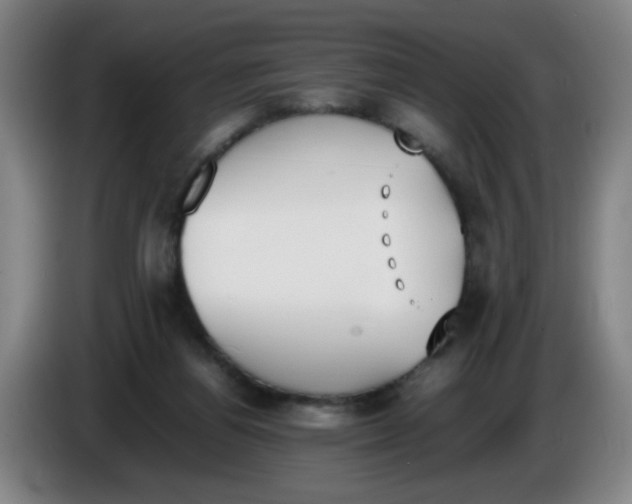 X0000086340164200704202108