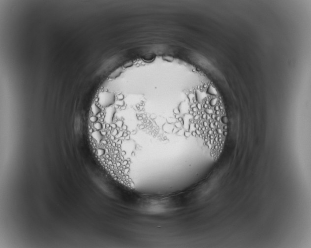 X0000086340165200704202108