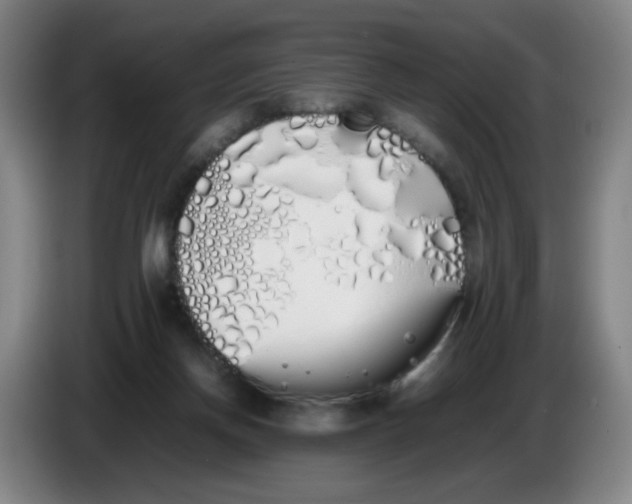 X0000086340166200704202108