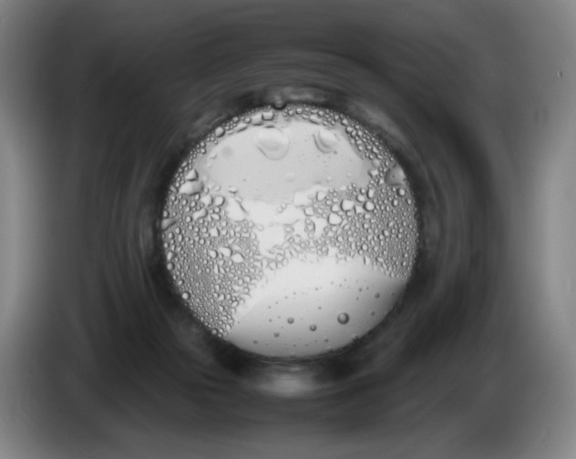 X0000086340169200704202108