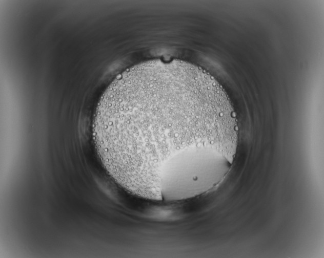 X0000086340171200704202108