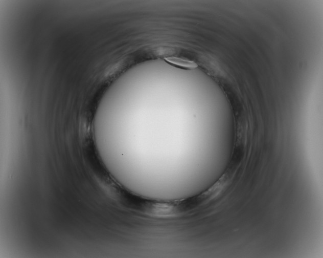 X0000086340176200704202108