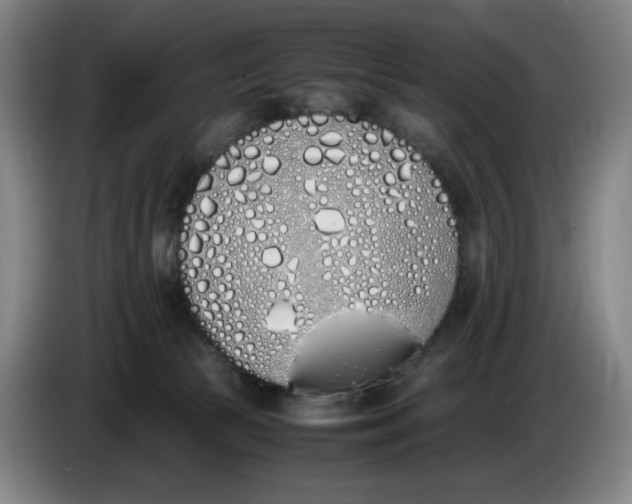X0000086340177200704202108