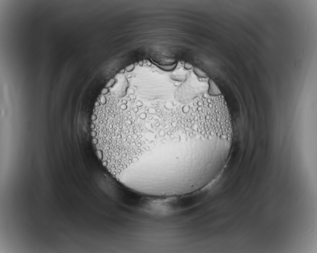 X0000086340178200704202108