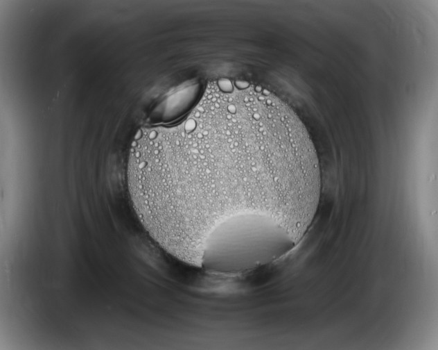 X0000086340179200704202108