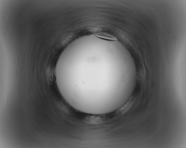 X0000086340180200704202108