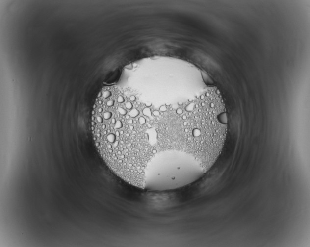 X0000086340181200704202108